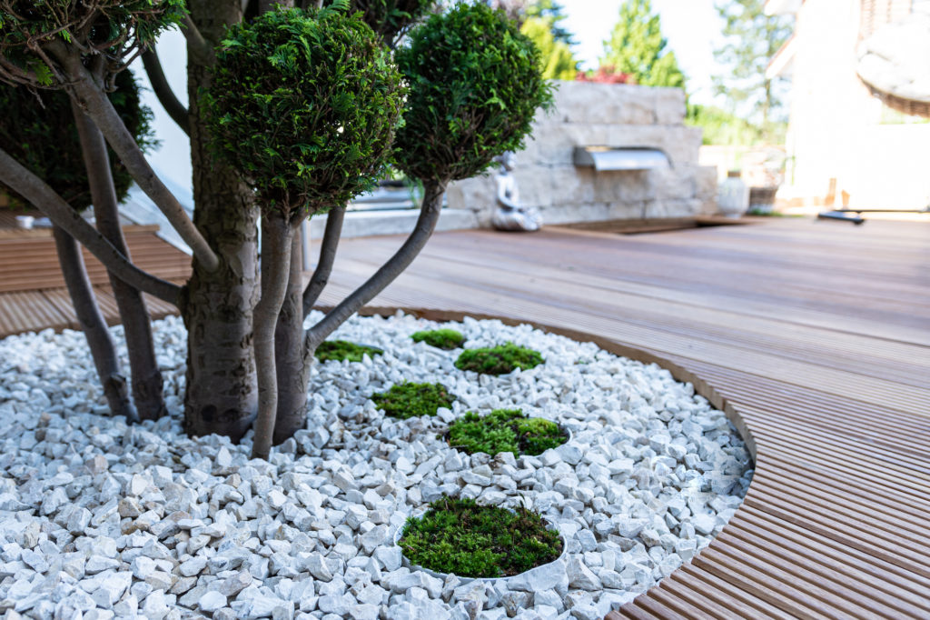 Moss as an ornamental element in landscaping and garden design