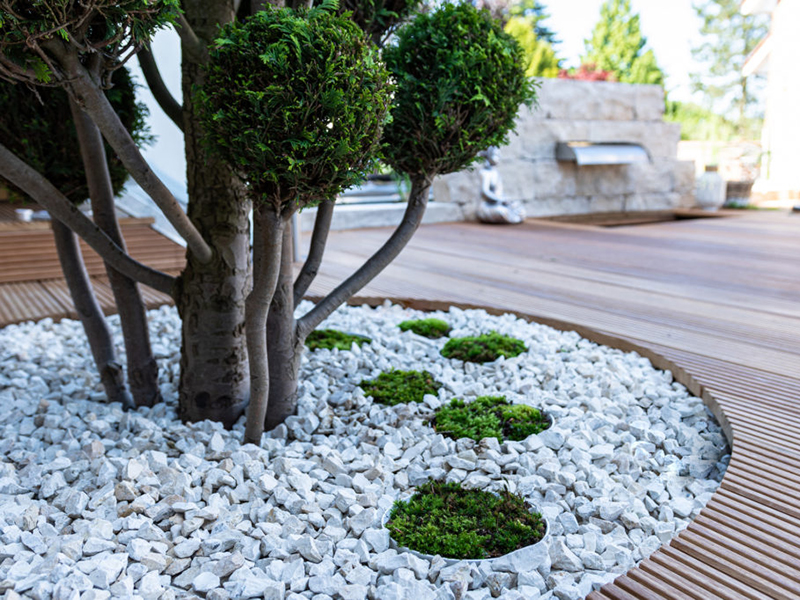 Moss as an ornamental element in landscaping and garden design