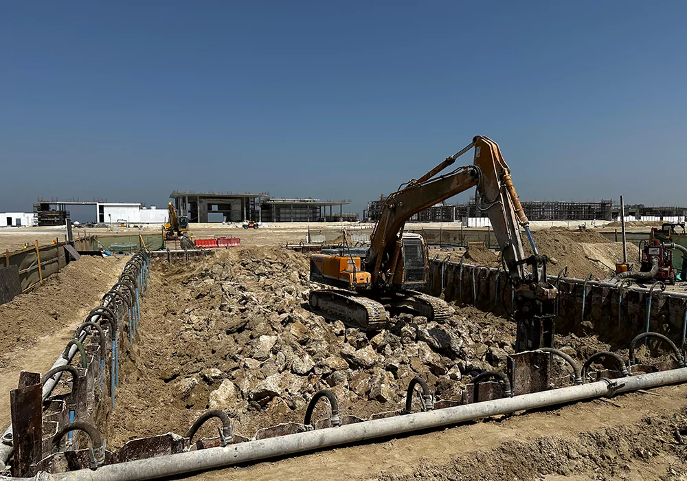 WhatsApp Image 2025-12-01 at 12.40.59 PM (2)